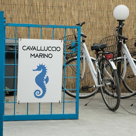 ファヴィニャーナCavalluccio Marinoアパートメント エクステリア 写真