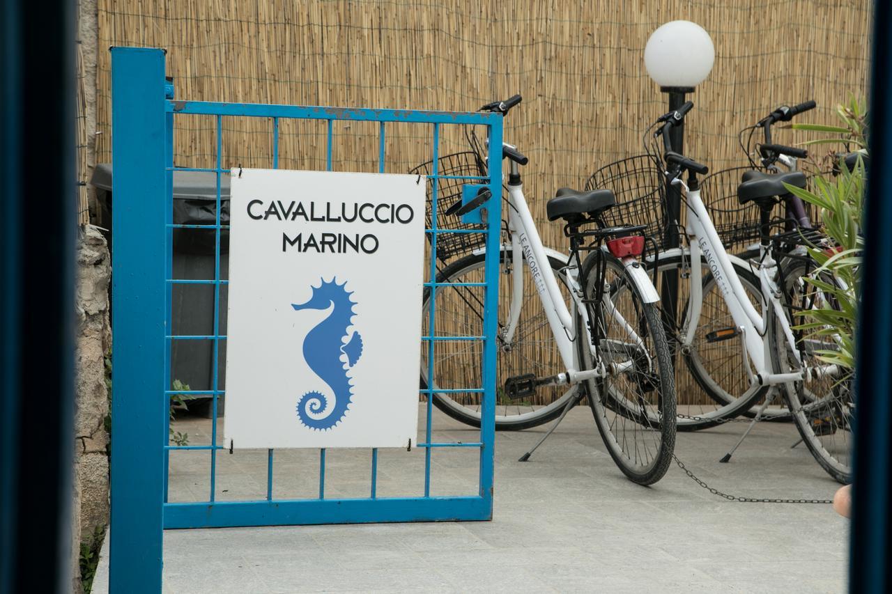 ファヴィニャーナCavalluccio Marinoアパートメント エクステリア 写真